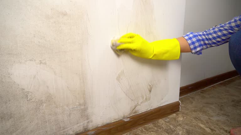 Best Mold Remediation for Healthcare Facilities  in Florence, MT