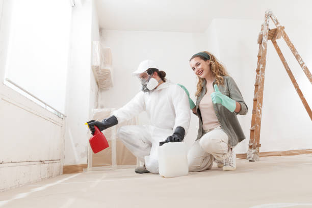 Best Mold Removal for HVAC Installations  in Florence, MT